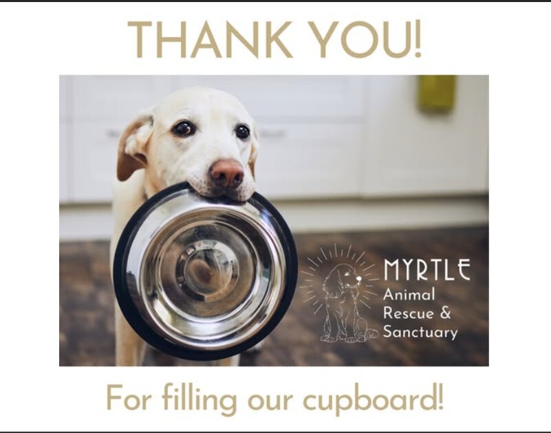 Screenshot 2025-10-29 130745