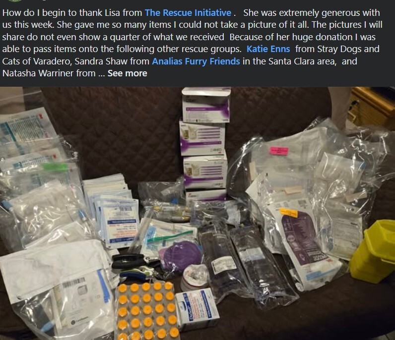 Screenshot 2025-10-29 130810